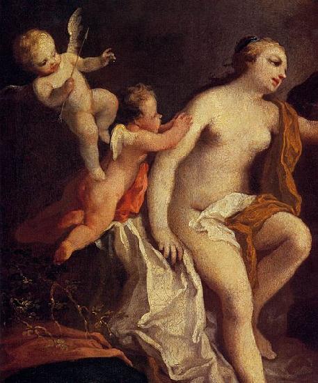 Jacopo Amigoni Venus and Adonis oil painting image